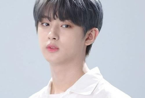 Kim Min Kyu (born March 12, 2001) is a South Korean actor, television host, singer and model under Jellyfish Entertainment. He is professionally known as Minkyu. He made his acting debut in a web drama “Pop Out Boy!” in 2020 and Idol: The Coup (2021)