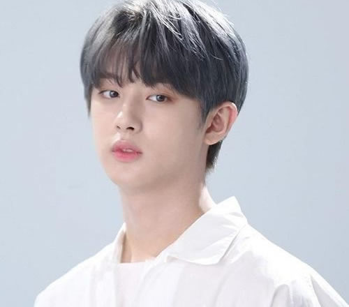 Kim Min Kyu (born March 12, 2001) is a South Korean actor, television host, singer and model under Jellyfish Entertainment. He is professionally known as Minkyu. He made his acting debut in a web drama “Pop Out Boy!” in 2020 and Idol: The Coup (2021)