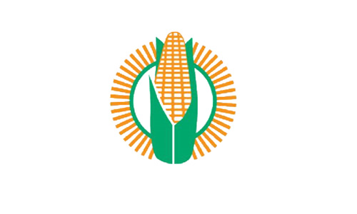 The Maize Trust: Bursaries 2023